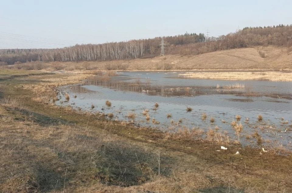 Курские огнеборцы выезжали по тревоге 137 раз