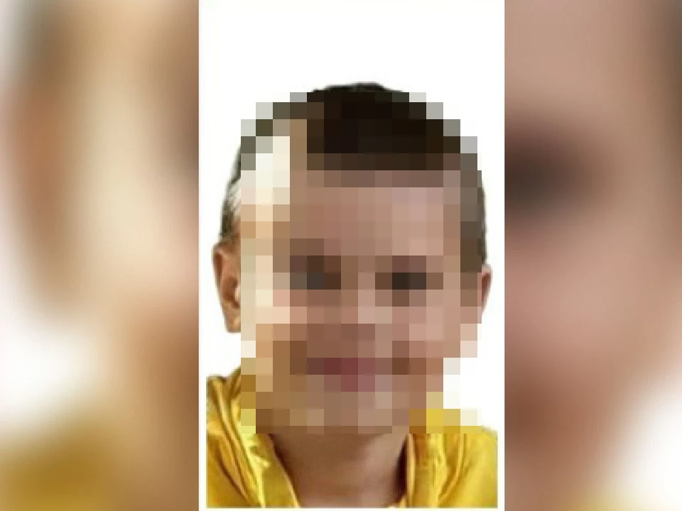 Пропавшего в Новинках мальчика нашли живым.