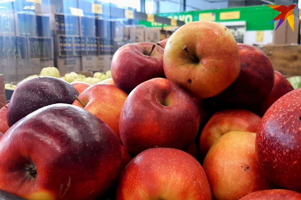Заготовщики платят от 3 до 5 рублей за мешок яблок в Беларуси. Фото: София ГОЛУБ