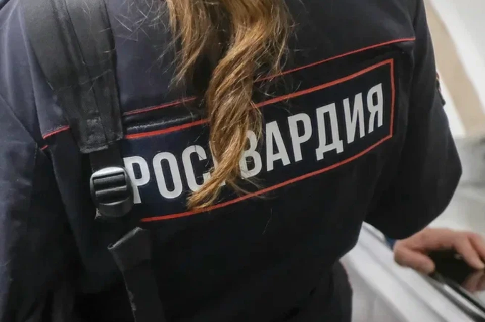 В Курортном районе Петербурга задержали пьяного посетителя поликлиники, избившего охранника.