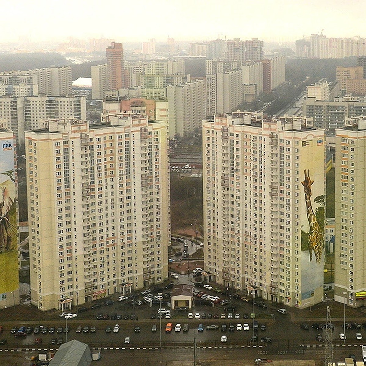 В Подмосковье согласовали новые границы округов Химки и Солнечногорск -  KP.RU