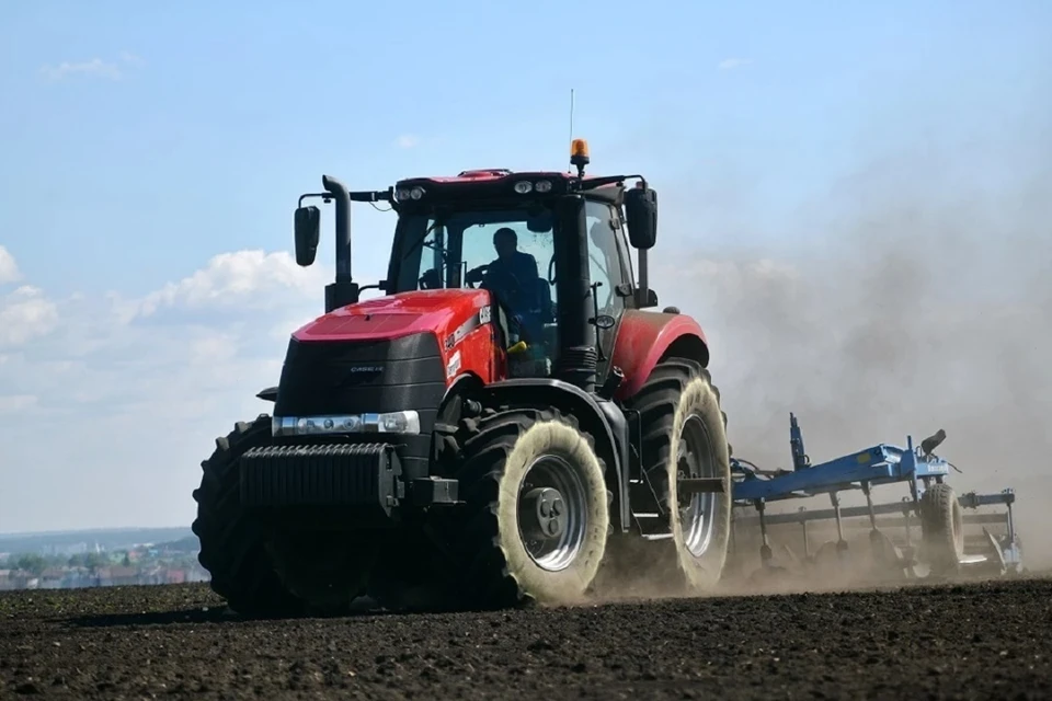 В Ростовской области с января по июль 2022 года производство сельскохозпродукции выросло на 13,8%.