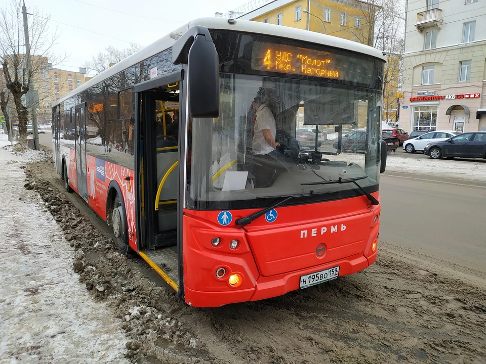Фото: архив "КП".