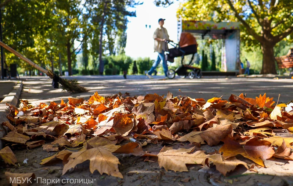 Осень в Симферополе. Фото: Парки столицы (г. Симферополь)/VK