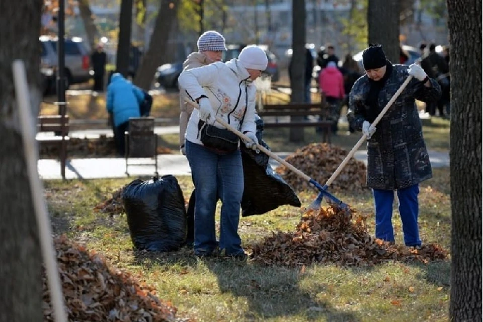 В Хабаровском крае проведут общекраевой субботник и акцию «Вода России» Фото: Правительство Хабаровского края