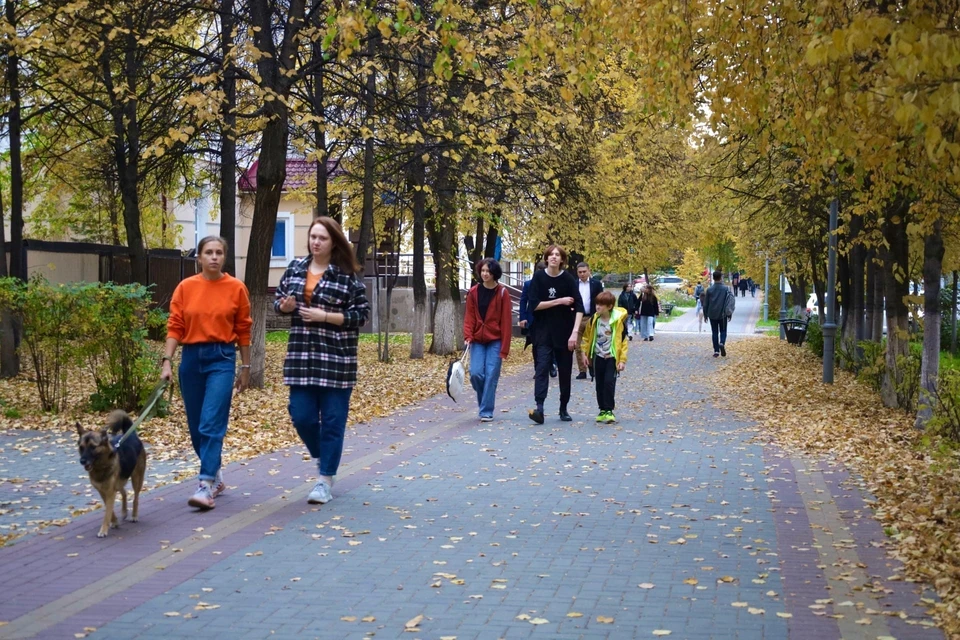 В Томске на следующей рабочей неделе похолодает.