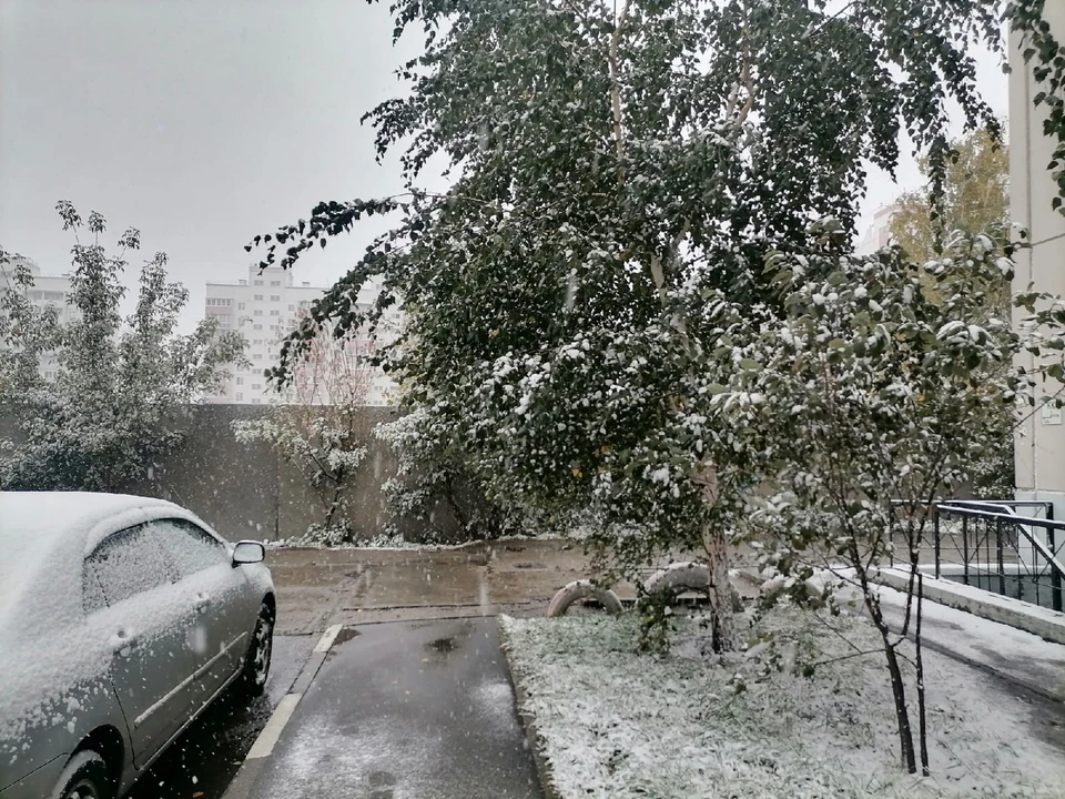 Россия выпал снег. Летний снег. Снег летом. Снегопад в городе. Заснеженный Омск.