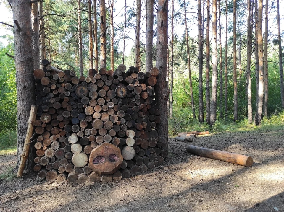 Жители Тюмени примут участие во Всемирном дне ходьбы в экопарке.