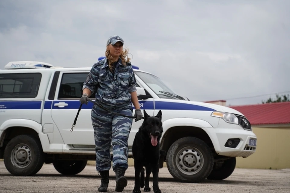Сообщения о минировании проверяются