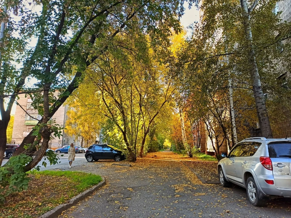 Утром возможна гололедица