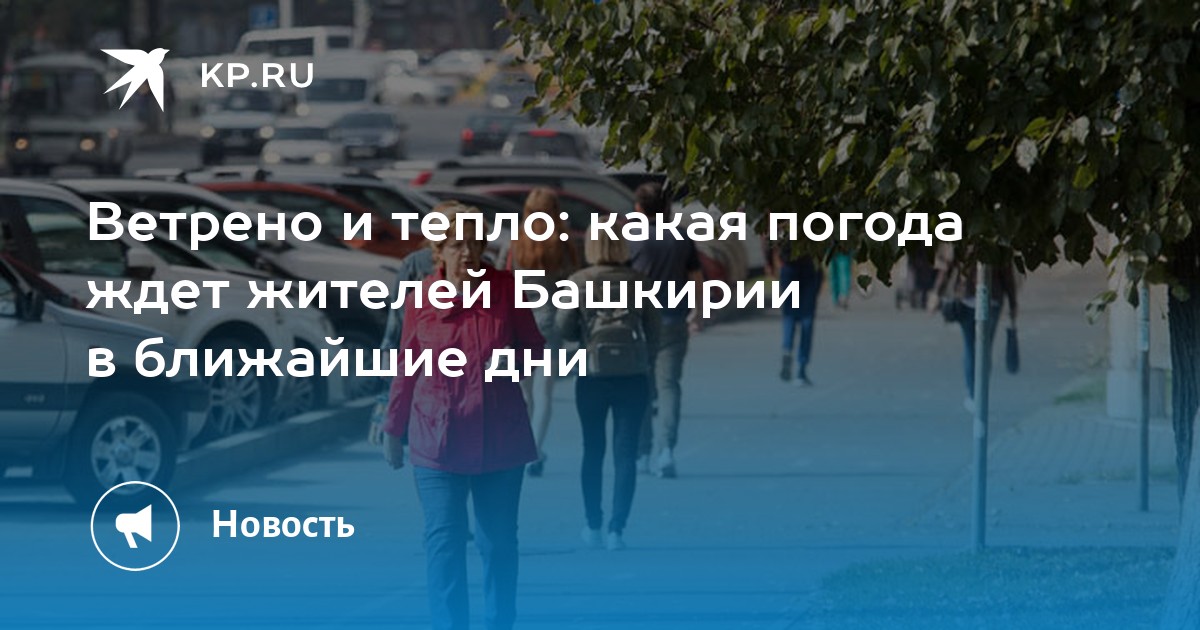 Когда придет тепло в янао. Ветренная погода ночью. Теплая и ветреная погода ожидает жителей.