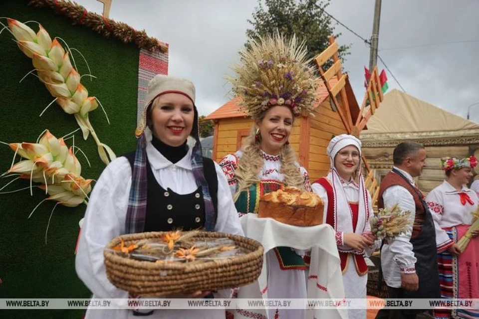 Белорусские аграрии собрали богатый урожай. Фото: БелТА