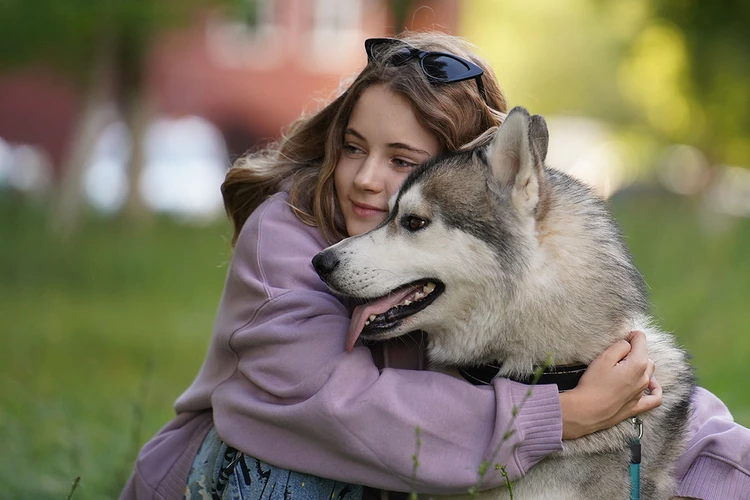 Ученые узнали, как собаки понимают чувства хозяина