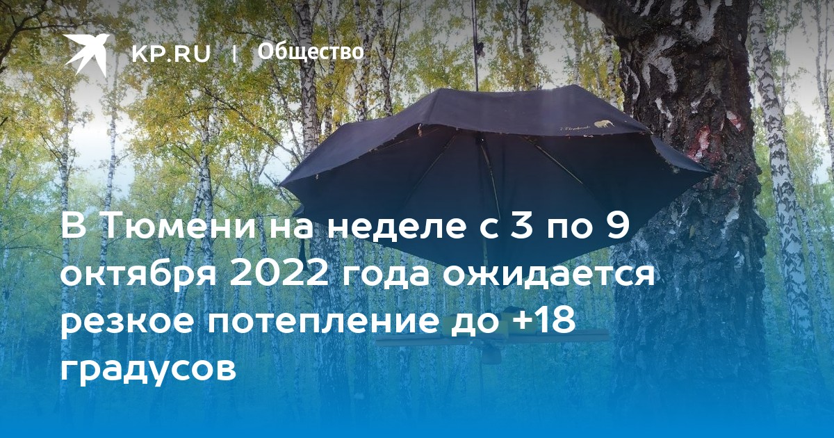 В тюмени на неделю. Потепление в октябре 2022. Ттемпература воздуха днём 3 октября. Солнечной и теплой среды.