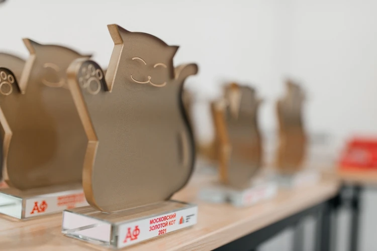 Открыт прием заявок на участие в премии по фандрайзингу «Золотой кот 2022»
