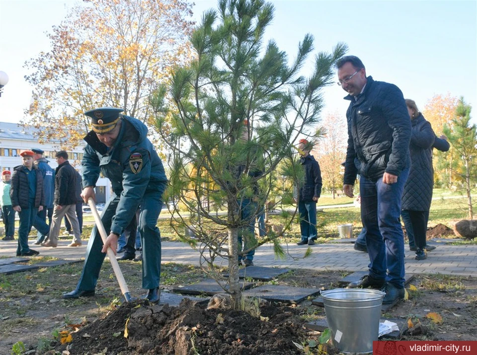 фото с сайта городской администрации