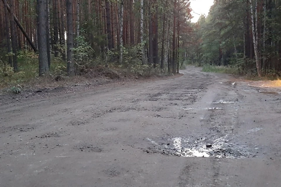 Из-за ям и отсутствия знаков на дороге постоянно случаются аварии. Фото: предоставлено героем публикации