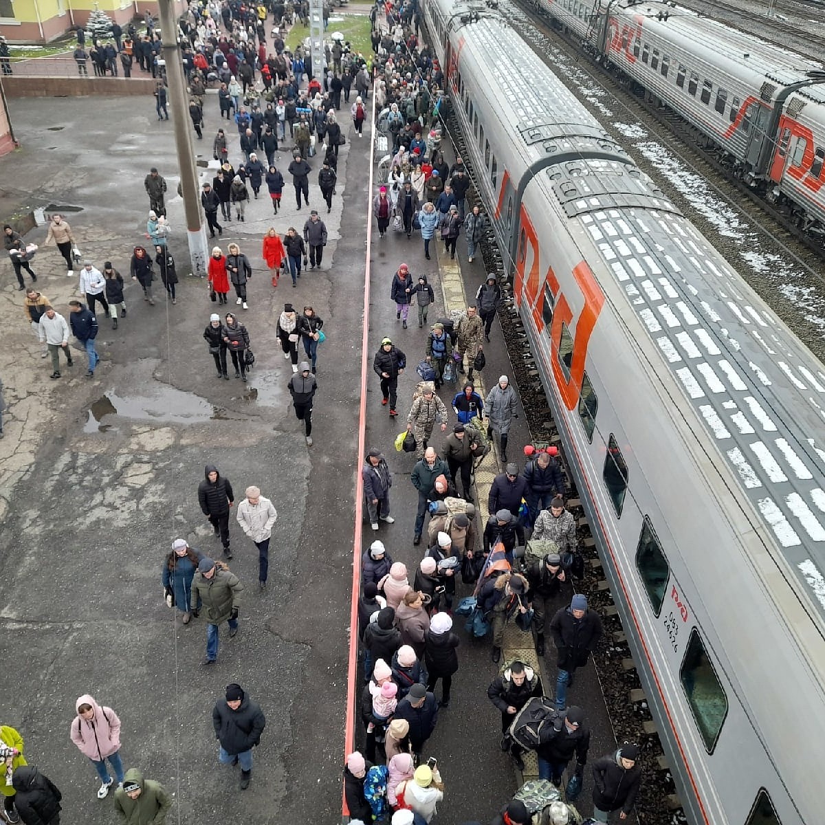 Жители Томской области могут подать электронную заявку на добровольное  участие в СВО - KP.RU