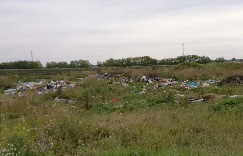 Фото: пресс-служба управления Россельхознадзора по Омской области.