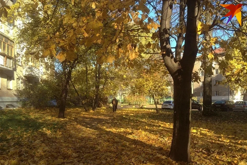 В Беларуси ожидается до +20 °С.