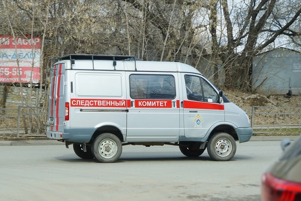 Они приехали на Урал, чтобы по найму производить фасадную отделку жилых домов