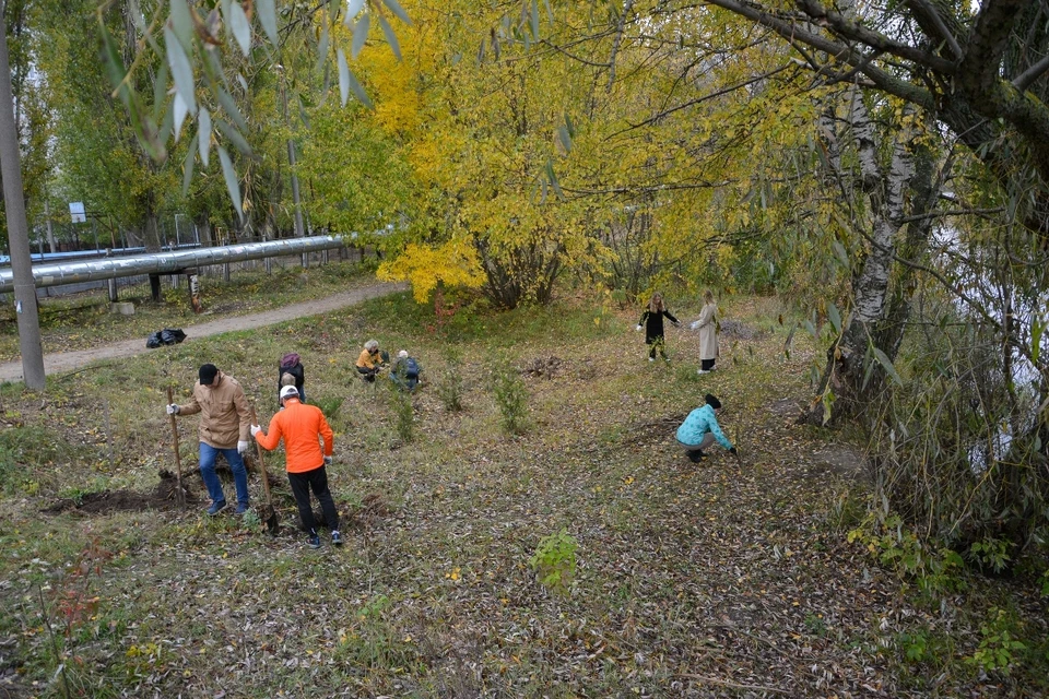 Нижегородцы привели в порядок берега речки Левинка в Московском районе