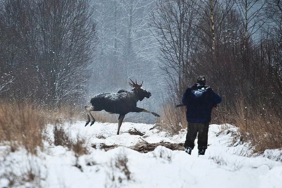 Фото: телеграм-канал Дениса Удалова: @udalov_mpr