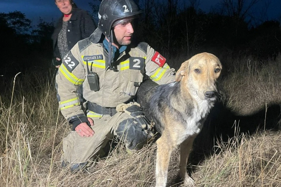 Собака ждала помощи больше восьми часов. Фото: МЧС России по Чеченской Республике