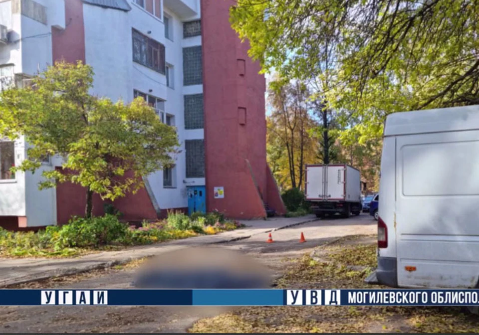 Место происшествия. Фото: УВД Могилевского облисполкома