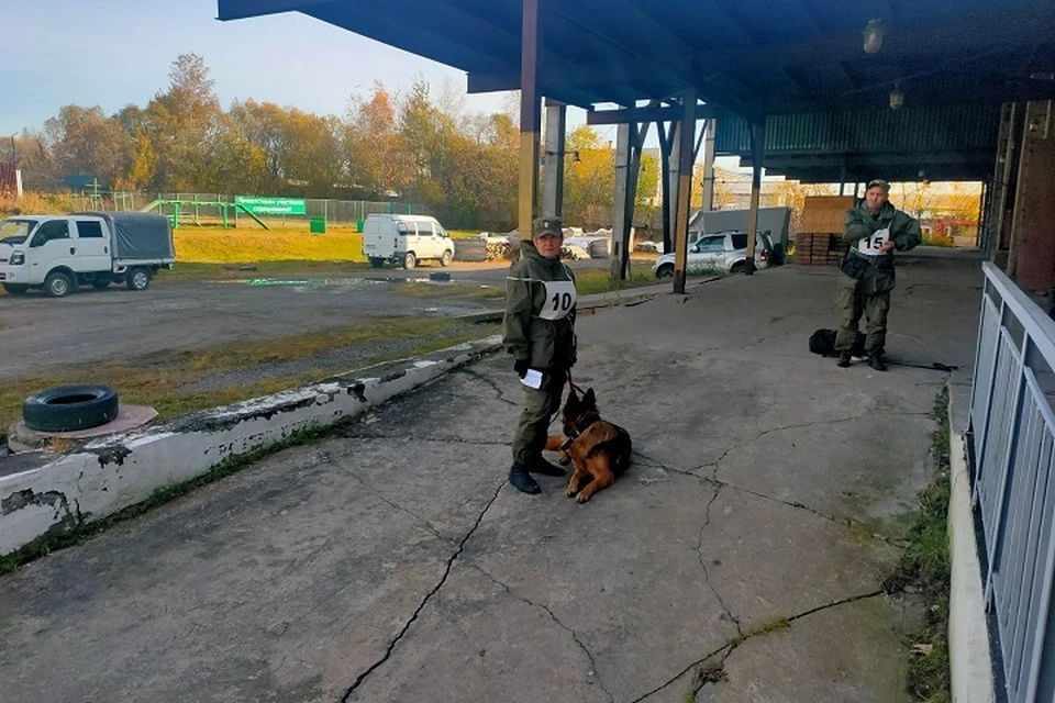 Татьяна и Тесса в ожидании соревнований