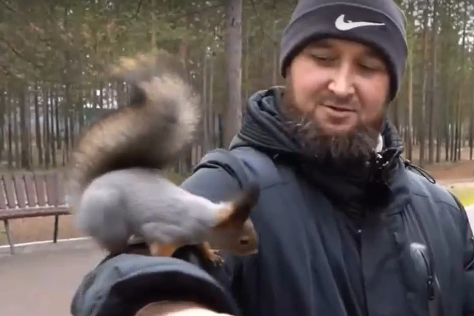 Фото: скриншот из видео. Любопытная белка.