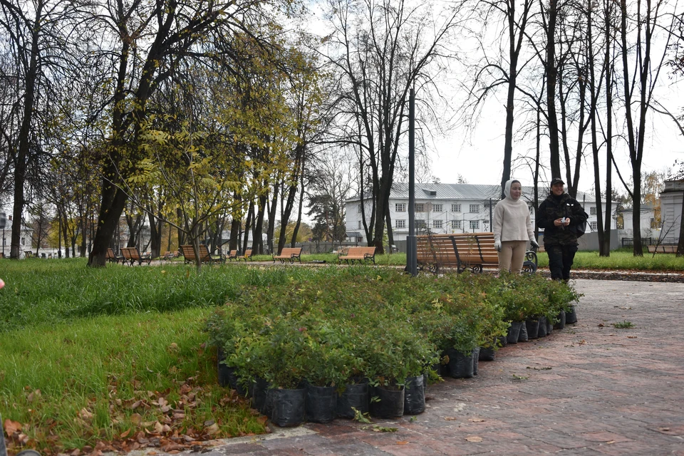 Фото: gradkostroma.ru