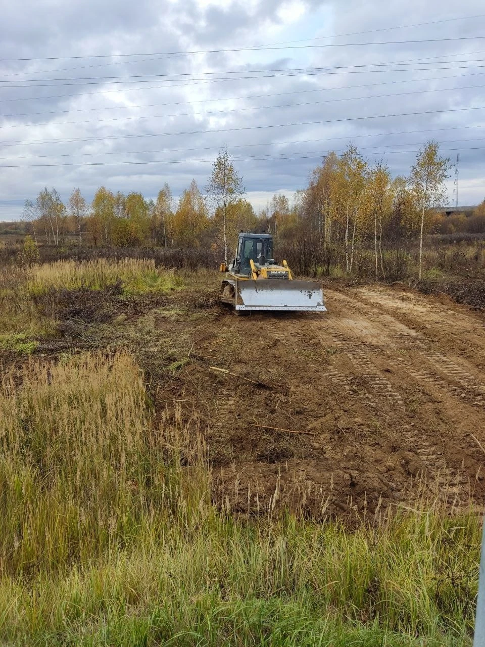 Фото: Красносельский муниципальный район