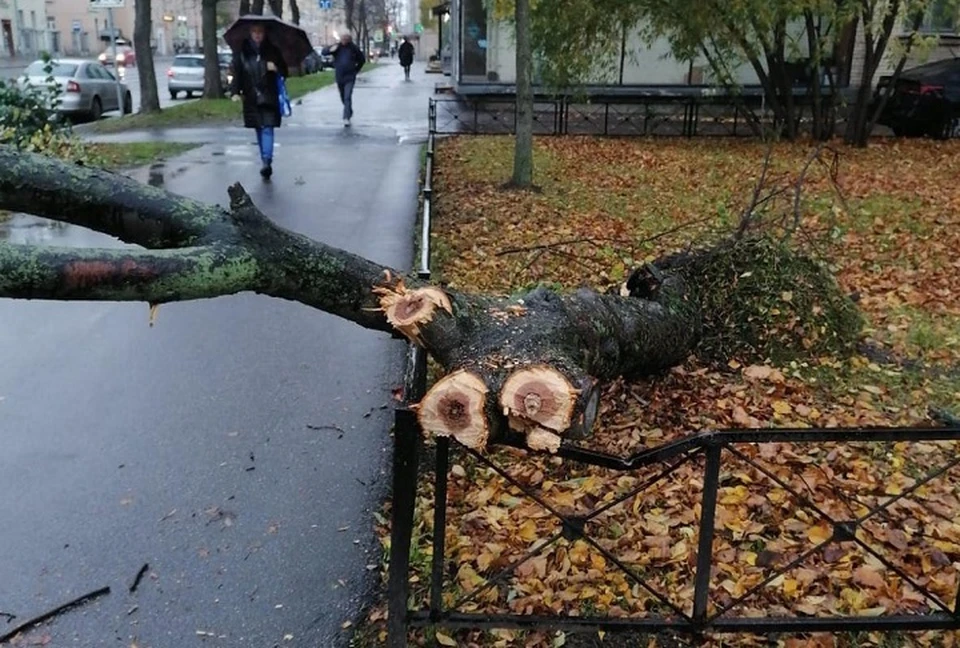 Больше всего досталось Красногвардейскому району. Фото: пресс-служба Смольного