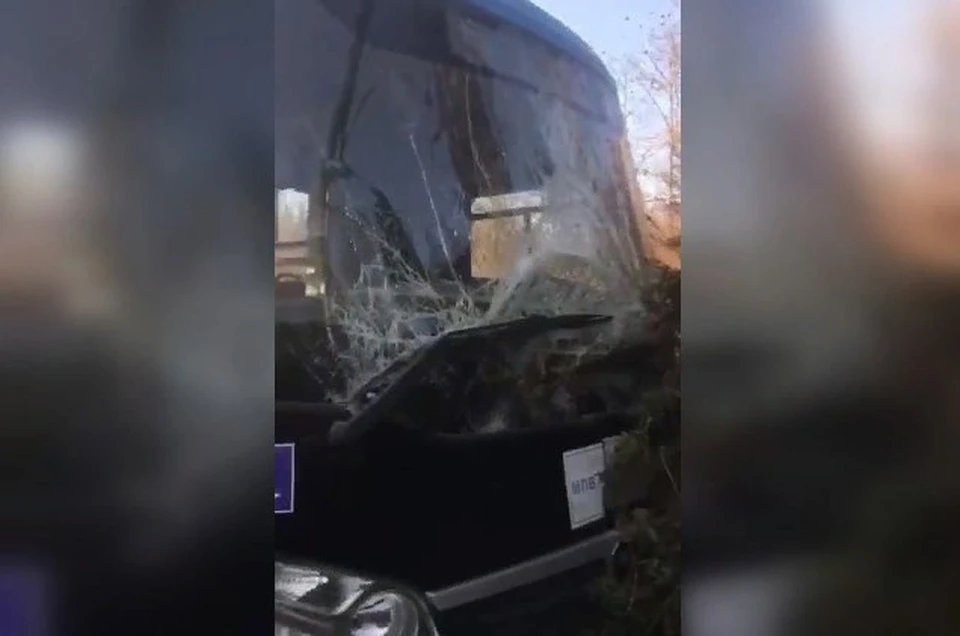 Во время движения мужчина не справился с управлением.