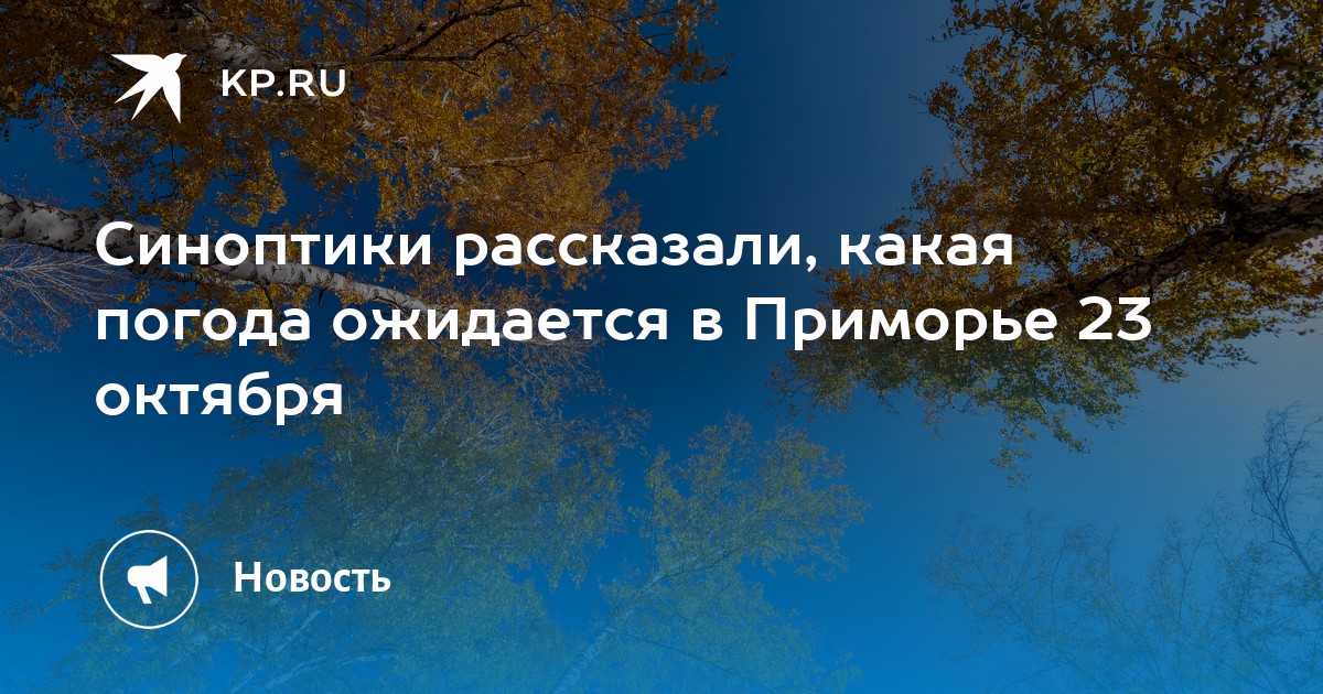 Погода владивосток август 2024