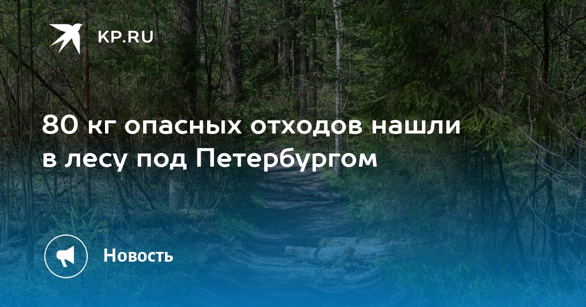 80 кг опасных отходов нашли в лесу под Петербургом - KP.RU