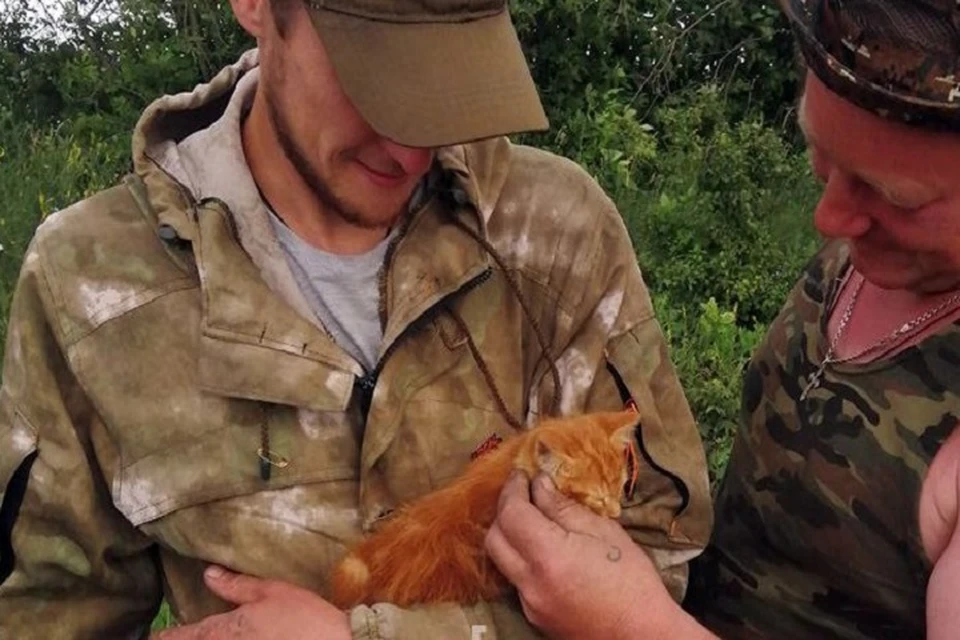 Боец, участвующий в СВО, попросил волонтеров привезти ему котенка. Фото: "Подмосковье сегодня"