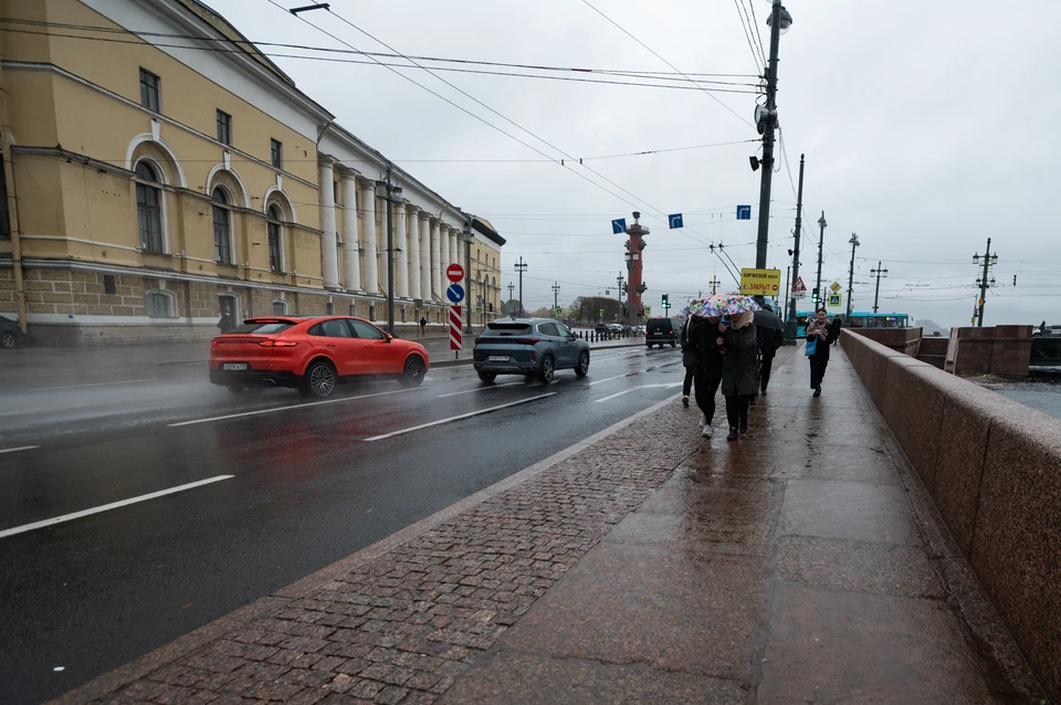 40 градусов в москве. Дождь в Петербурге.