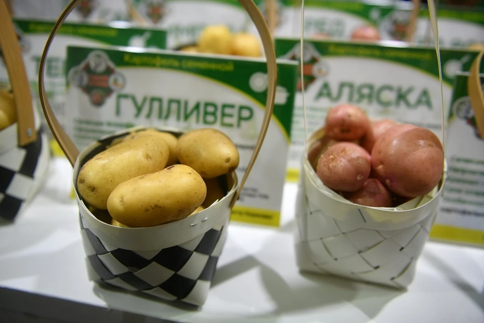 100 ярмарок проведут в Иркутской области до конца 2022 года