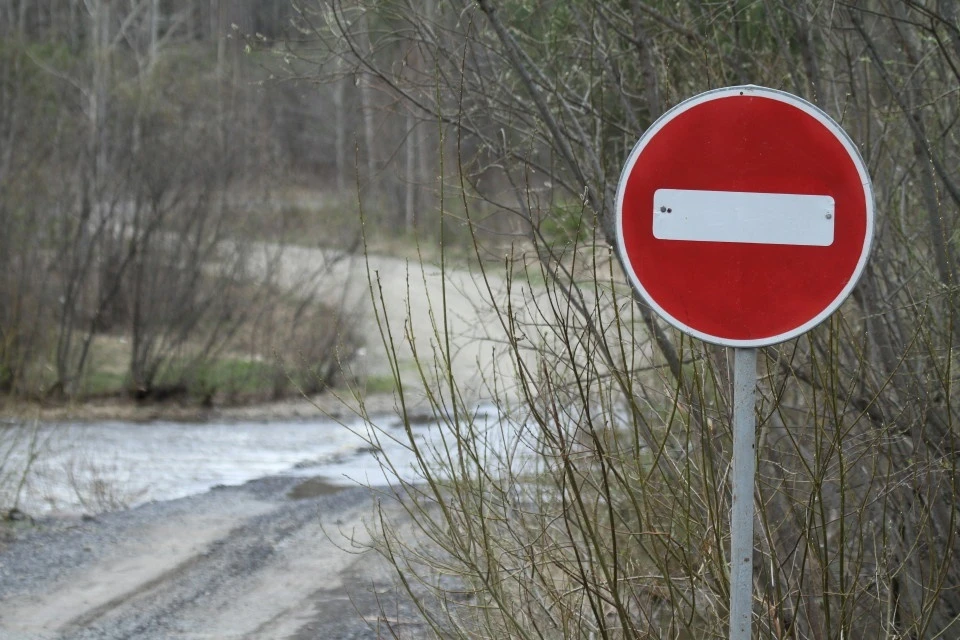 Заезд автотранспорта в лес