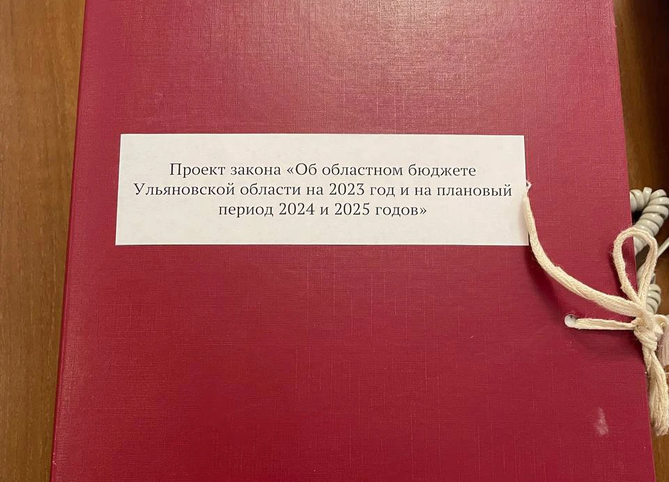 ФОТО: телеграм-канал и.о. министра финансов Ульяновской области Натальи Брюхановой
