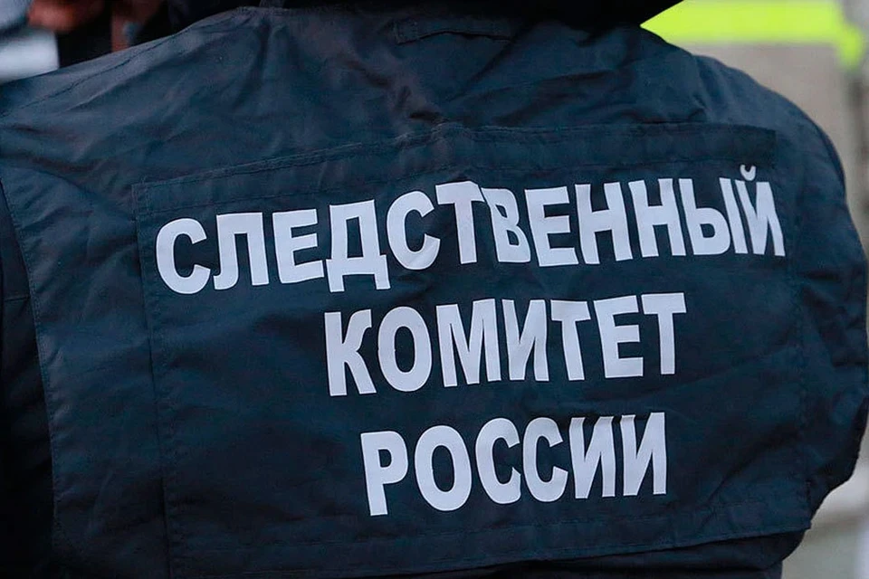 Суд назначил бабушке исправительные работы
