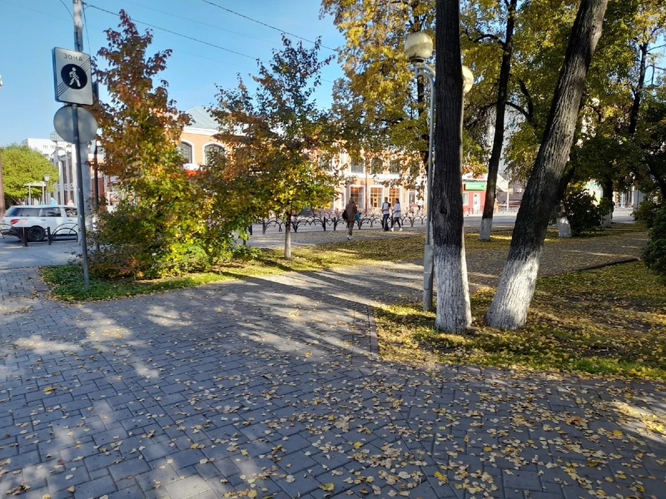 Власти объяснили, почему в Тюмени вновь ощущается запах гари