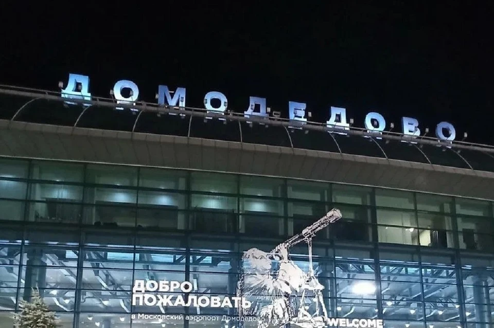 В аэропорту Домодедово рассказали о подготовке к переходу на осенне-зимний период навигации. Фото: телеграм-канал аэропорта Домодедово