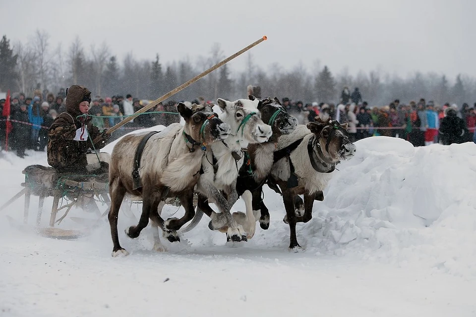 Фото: предоставлено "КП"