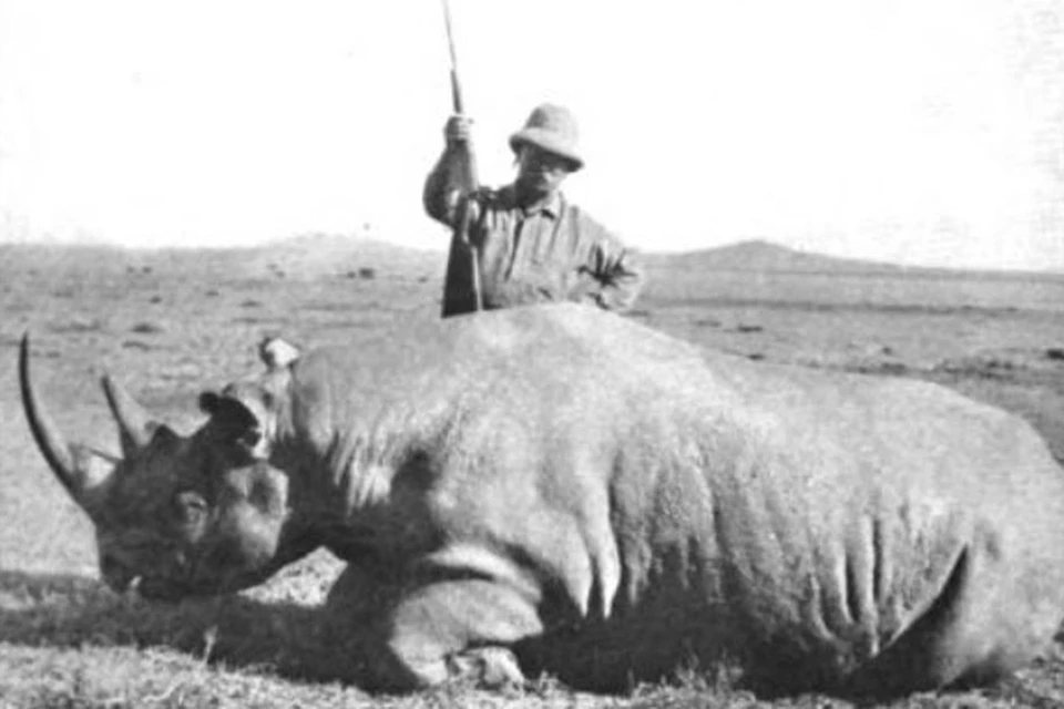 Будущий президент США Теодор Рузвельт на фоне убитого им носорога. Фото 1911 года.