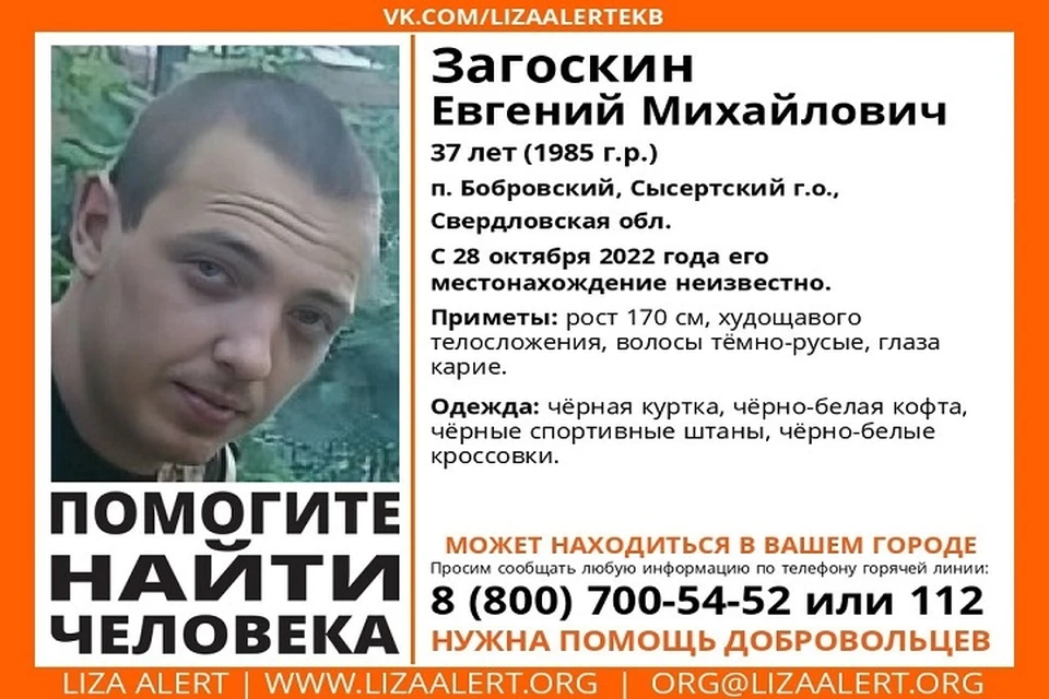 Фото: поисковый отряд "ЛизаАлерт"