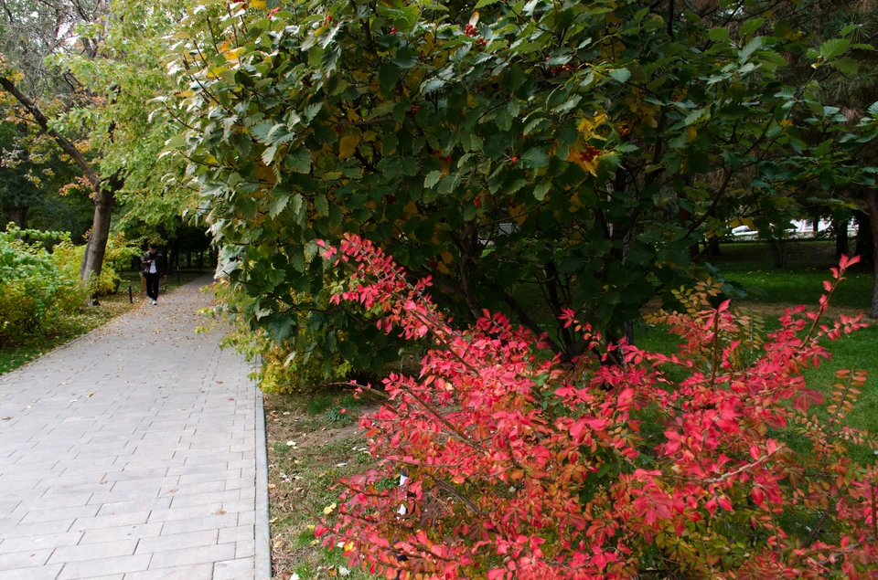 В праздничные дни волгоградцев ждет морозная погода