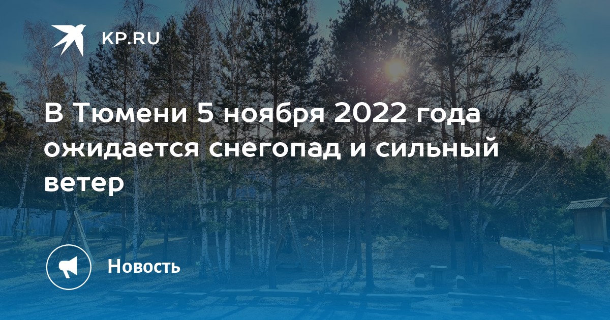 Тюмень 5 ноября. Гололед Тюмень. 5 Ноября 2022 года. Погода на ноябрь 2022 года. Приметы на 5 ноября 2022 года при погоду снег.